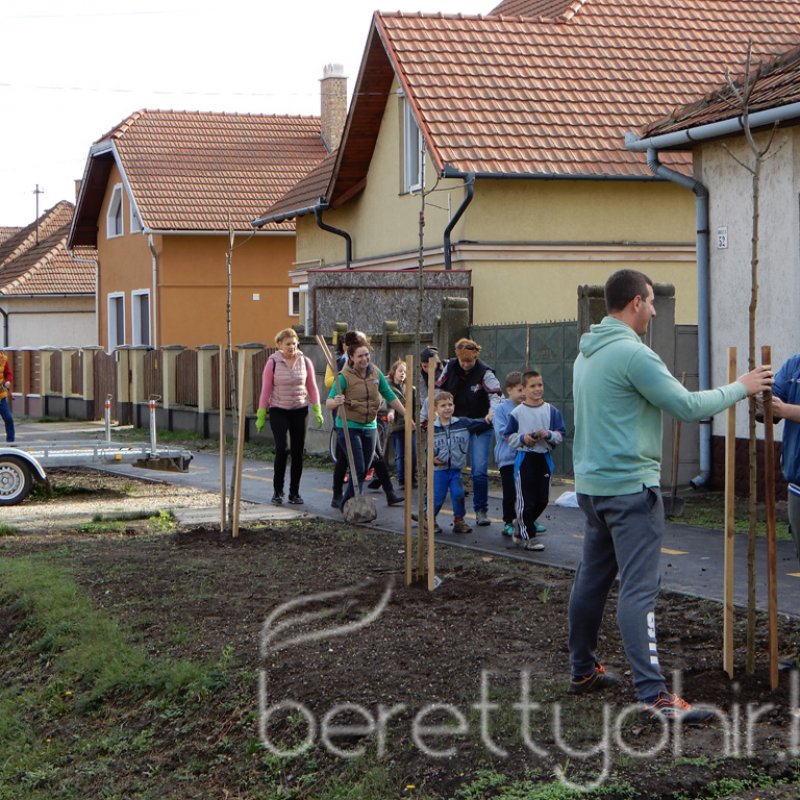 Közösségi faültetés Berettyóújfaluban 81